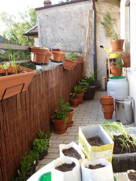 43+ Urbanes Gärtnern, Ein konzept, das jedoch besonders häufig im