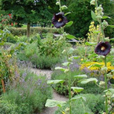 Kräutergarten Ökostation