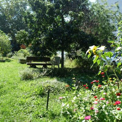 Blick in den Garten