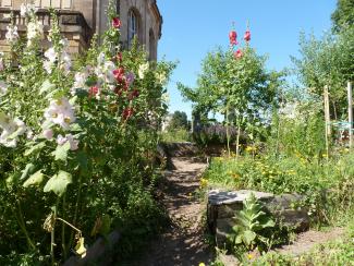 Bild Theatergarten