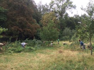 Waldgarten Wiehre
