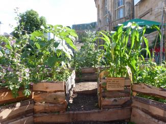 urbaner Garten