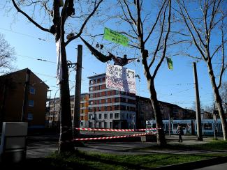 Aktivistis liegen in Hängematten in einer Baumkrone, im Hintergrund fährt die Straßenbahn vorbei