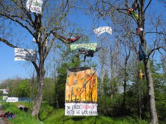 Aktivistis sitzen in Bäumen, zum Teil in Hängematten und Banner sind zwischen die Bäume gespannt.