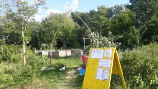 urbaner Garten Vauban