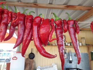 chilies
