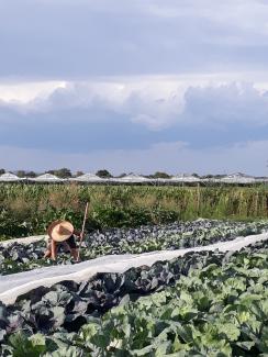 Argarökologische Landwirtschaft