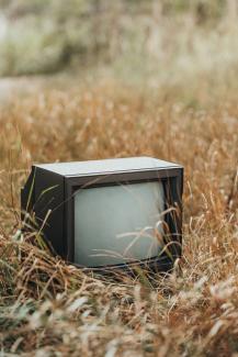 Fernseher im Gras