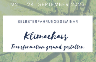 Klimachaos Flyer