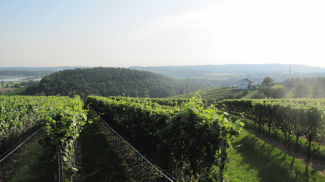 Bio-Weintasting