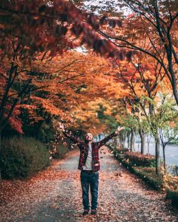 Mensch steht in einer Allee und wirft mit Herbstlaub