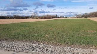 Landwirt und Pächterin sind einverstanden: auf diese Wiese darf ein Baum kommen