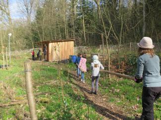 Beete anlegen im Waldgarten