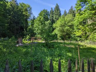 Waldgarten vom WaldHaus Freiburg