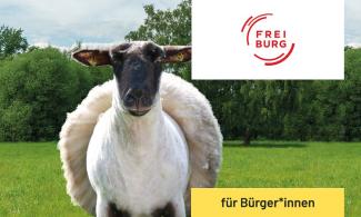 Grafik Energetisch sanieren