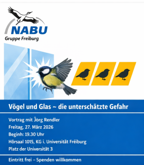 Vortrag „Vögel und Glas – die unterschätzte Gefahr“ ein